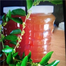 原生态成熟枣花蜜 礼盒2瓶装（2公斤）| 包邮全国